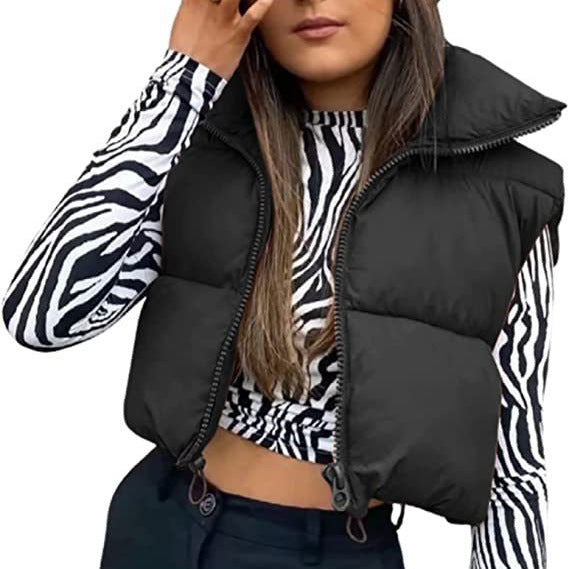 datenight fall outfits Women's Spring Cotton-Padded Vest Zipper Stand Collar Vest 11 Colors